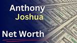 Joshua Milrad Net Worth