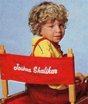 Joshua Shalikar Net Worth