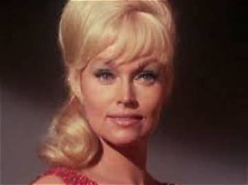 Karen Steele Net Worth