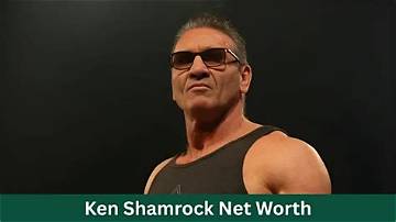 Ken Medlock Net Worth