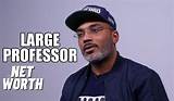 Large Professor Net Worth