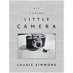 Laurie Simmons Net Worth