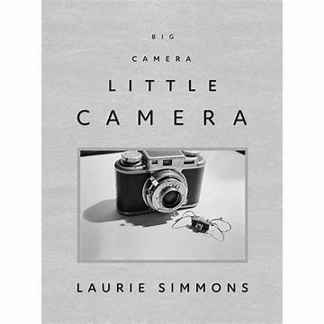 Laurie Simmons Net Worth