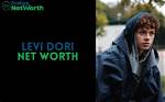 Levi Larkey - Net Worth 2018, Bio & Wiki