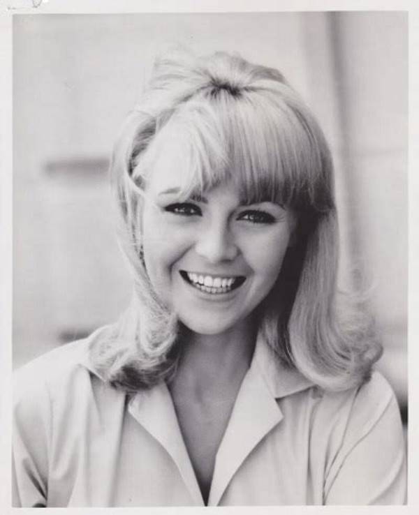 Linda Foster Net Worth