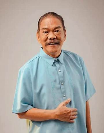 Lou Veloso Net Worth