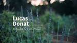 Lucas Donat Net Worth
