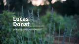 Lucas Donat Net Worth