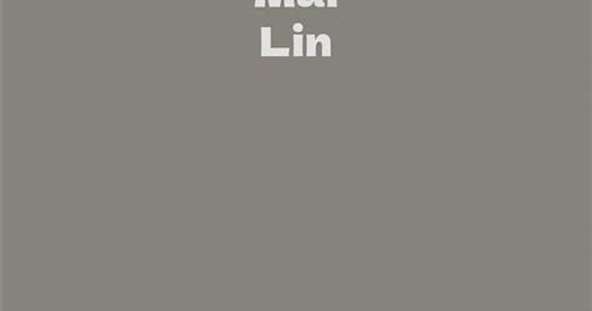 Mai Lin Net Worth