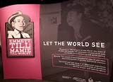 Mamie Till Net Worth