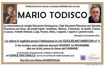 Mario Todisco Net Worth