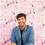 Mark Ferris Net Worth