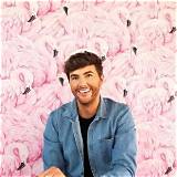 Mark Ferris Net Worth