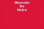 Mauvais De Noir Net Worth