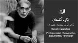 Mehrak Golestan Net Worth
