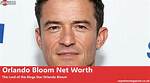 Michael Bloom Net Worth