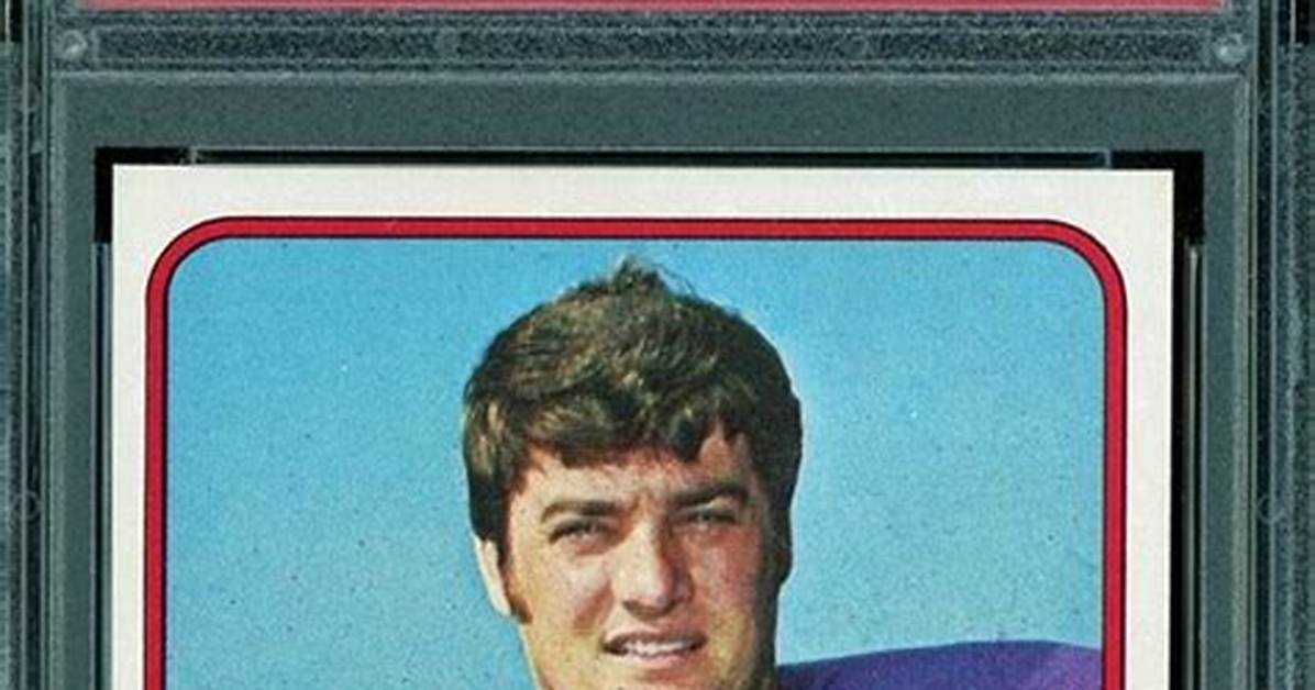 Mick Tingelhoff Net Worth