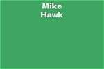 Mike Hawk Net Worth