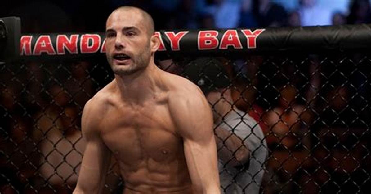 Mike Swick Net Worth