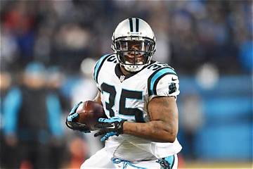 Mike Tolbert Net Worth