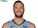 Miles Plumlee Net Worth