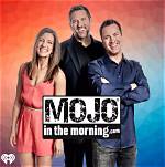 Mogo Net Worth