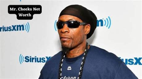 Mr. Cheeks Net Worth