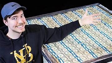 Mr. Skin Net Worth