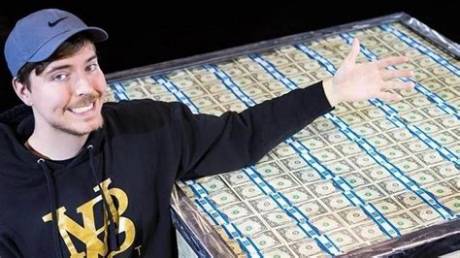 Mr. Skin Net Worth