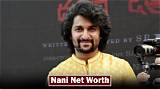 Nani Net Worth