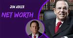 Nic Adler Net Worth