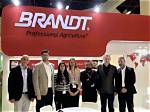 Nils Brandt Net Worth