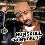 Numskull Net Worth