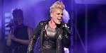 P! Nk Net Worth