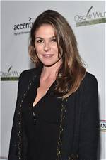 Paige Turco Net Worth