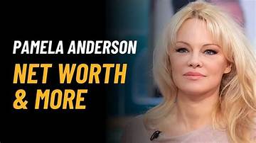 Pamela Price Net Worth