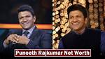 Panini Rajkumar Net Worth