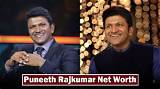 Panini Rajkumar Net Worth