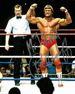 Paul Orndorff Net Worth