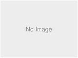 Pavel Terrier Net Worth