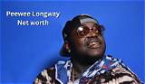 Peewee Love Net Worth