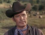 Peter Breck Net Worth