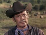 Peter Breck Net Worth
