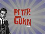 Peter Gunn Net Worth