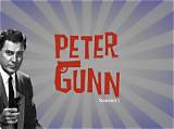 Peter Gunn Net Worth