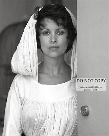 Phyllis Davis Net Worth