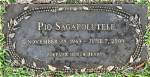 Pio Sagapolutele Net Worth