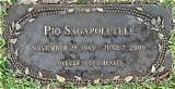 Pio Sagapolutele Net Worth