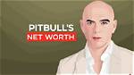 Pitbull Net Worth