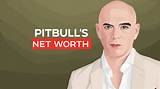 Pitbull Net Worth